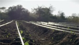 Farming for a Cooler World in Kenya